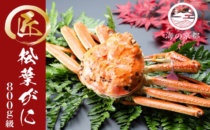 茹で松葉蟹 中1杯（800g級）〈11月中旬～2026年3月末頃発送〉 蟹 カニ かに 松葉蟹 松葉ガニ ズワイガニ ボイル