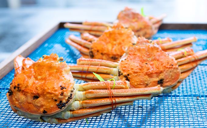 茹で松葉蟹 最上級 2杯（1,300g級）〈11月中旬～2026年3月末頃発送〉 蟹 カニ かに 松葉蟹 松葉ガニ ズワイガニ ボイル