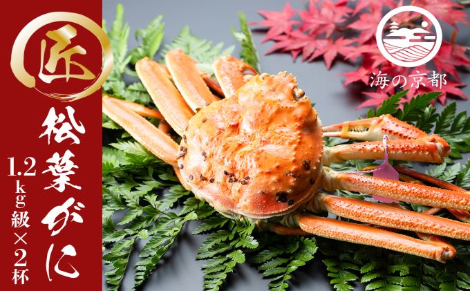 茹で松葉蟹 特上 2杯（1,200g級）〈11月中旬～2026年3月末頃発送〉 蟹 カニ かに 松葉蟹 松葉ガニ ズワイガニ ボイル