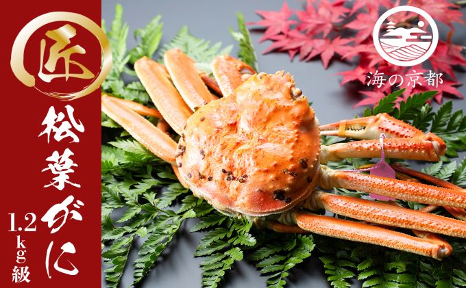 ys{{Îsz䥂ŏtI  1ti1,200gjq11{`2026N3r I Jj  tI tKj YCKj {C