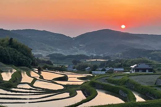 【定期便】淡路島の棚田米　5kg×6回（毎月発送）　精米 白米