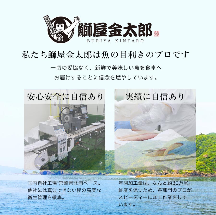 宮崎県延岡市のふるさと納税 鰤屋金太郎【冷凍】ぶりたいかんぱちスキンレスロイン各種300g N018-YB349-2