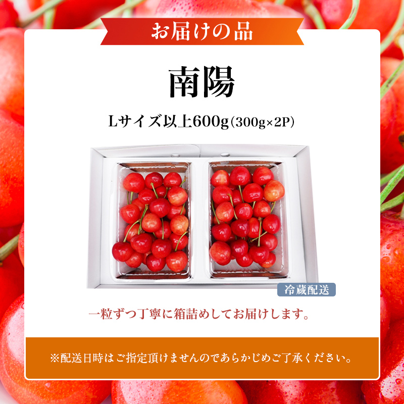 先行受付 北海道 仁木町産 さくらんぼ 南陽 600g(300g×2パック)　Lサイズ以上 旬 桜桃 産地直送 サクランボ チェリー フルーツ 果物 果物類  仁木町 仁木 [松山商店]