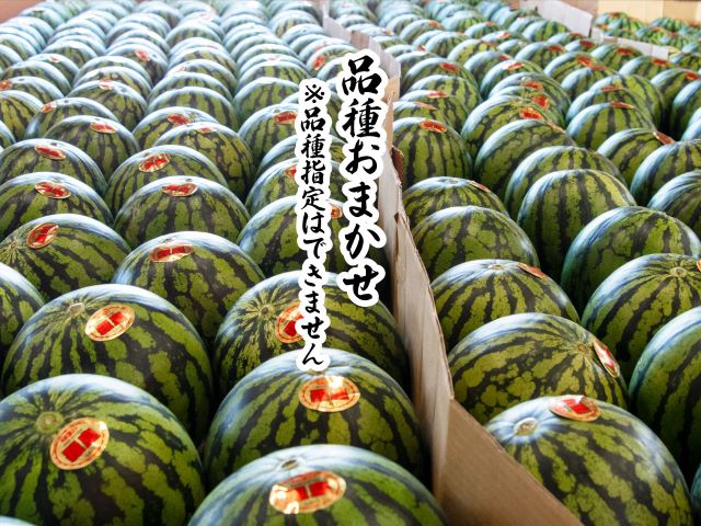 先行予約 訳あり 工藤さんが作ったスイカ 2玉 約7～8kg 品種おまかせ スイカ すいか 果物 くだもの フルーツ 旬の果物 旬のフルーツ 季節のフルーツ デザート 訳アリ 青森 青森県 鰺ヶ沢町