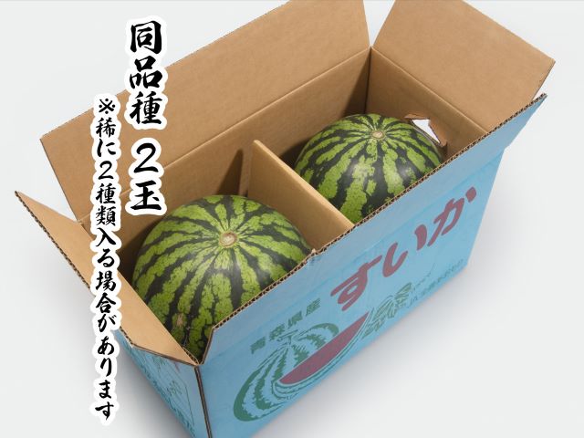 先行予約 訳あり 工藤さんが作ったスイカ 2玉 約7～8kg 品種