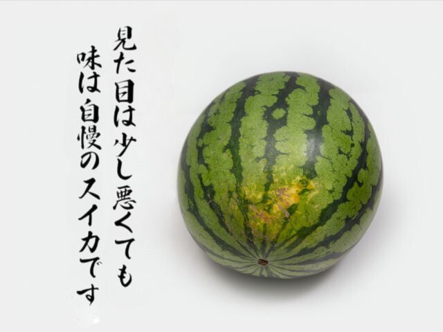 先行予約 訳あり 工藤さんが作ったスイカ 3～5玉 品種おまかせ スイカ すいか 果物 くだもの フルーツ 旬の果物 旬のフルーツ 季節のフルーツ デザート 訳アリ 青森 青森県 鰺ヶ沢町