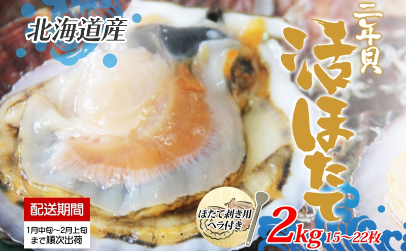 北海道洞爺湖町のふるさと納税 北海道産 活ほたて 2年貝 約 2kg 15枚～22枚 2026年1月中旬～2月上旬頃お届け 殻付き 貝付き 帆立 ホタテ ほたて 貝 魚介 海産 海鮮 貝柱 噴火湾 刺身 焼き フライ 生産者支援 産地直送 送料無料 魚介類 魚貝類