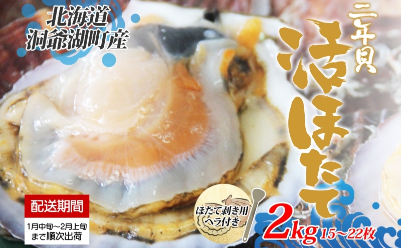 北海道洞爺湖町のふるさと納税 北海道産 活ほたて 2年貝 約 2kg 15枚～22枚 2026年1月中旬～2月上旬頃お届け 殻付き 貝付き 帆立 ホタテ ほたて 貝 魚介 海産 海鮮 貝柱 噴火湾 刺身 焼き フライ 生産者支援 産地直送 送料無料 魚介類 魚貝類