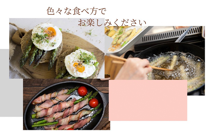 ［武田農園とれたて直送］グリーンアスパラ M～2L 混合 1kg やわらかくて抜群にあまい！北海道 富良野産 (アスパラガス アスパラ 野菜 新鮮 産地直送 先行予約 限定)