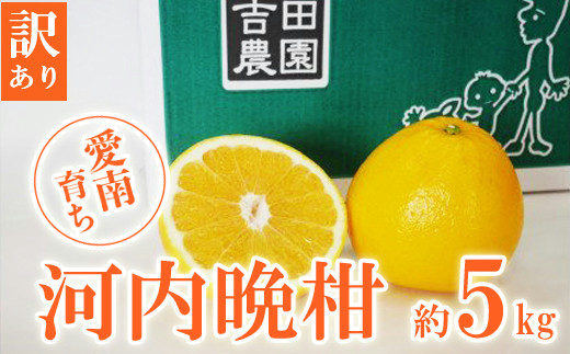 【愛媛県愛南町】数量限定 先行予約 訳あり 河内晩柑 5kg 7000円 みかん わけあり かわちばんかん 愛南ゴールド あいなん ゴールド 夏 文旦 和製 グレープフルーツ 家庭用 産地直送 国産 農家直送 期間限定 数量限定 ビタミン 健康 おいしい 特産品 ゼリー ジュース アイス 等