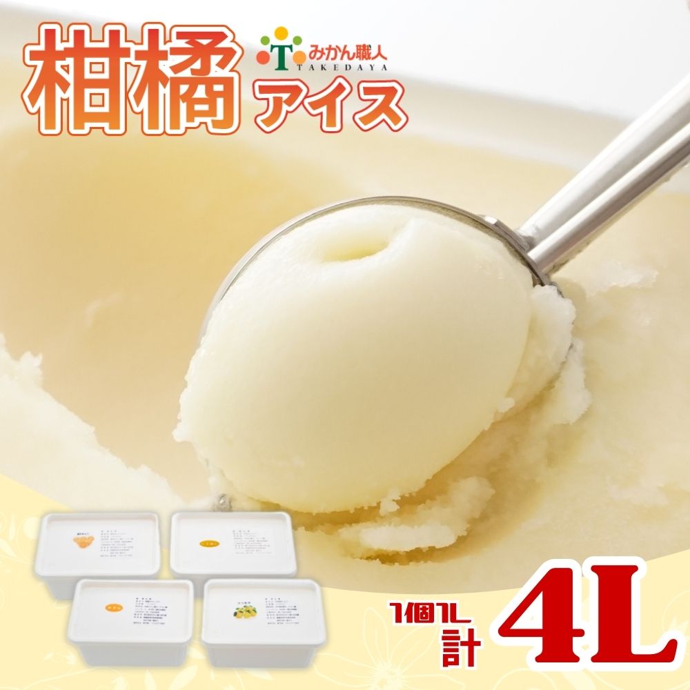 【愛媛県愛南町】みかん職人が作った柑橘アイス1000ml×4種( 夢オレンジ ・ 愛媛みかん ・ 河内晩柑 ・ しらぬい ) みかん 柑橘 アイス アイスクリーム シャーベット ジェラート ソルベ お菓子 おかし デザート スイーツ 冷凍 冬 夏 旬 まどんな 愛南ゴールド 不知火 デコポ