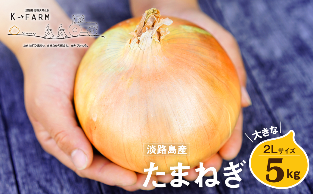 淡路島たまねぎ 大きな2Lサイズ 5kg　　[玉ねぎ 産地直送 玉葱]