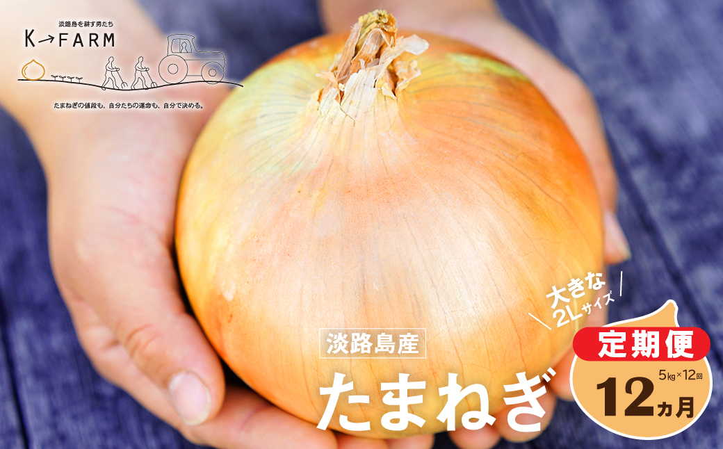 【定期便12ヶ月】淡路島たまねぎ 大きな2Lサイズ 5kg　　[玉ねぎ 産地直送 玉葱]