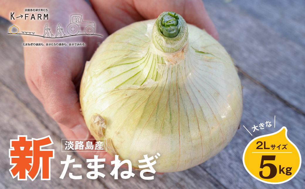 【新たまねぎ】淡路島たまねぎ 大きな2Lサイズ 5kg【発送時期：2026年3月下旬～5月頃】　 玉ねぎ 産地直送 甘い 玉ねぎ 