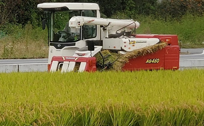 あま酒 酒米 山田錦を麹にした甘酒 7袋入 飲料 ドリンク 飲む点滴 健康食品 