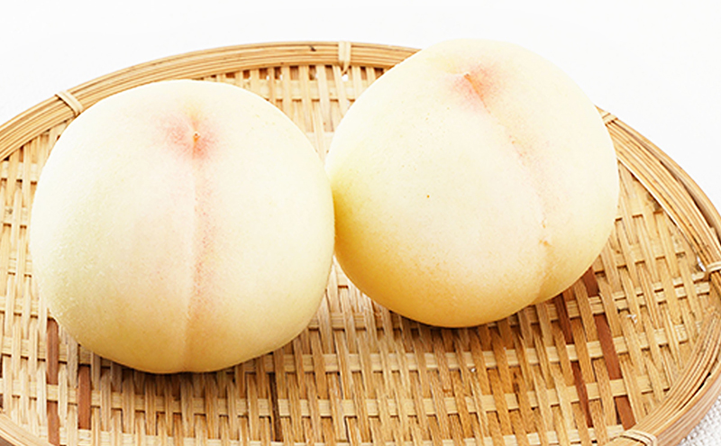 桃 ぶどう 2026年 先行予約 果物詰合せ 白桃 2玉（1玉200g以上） シャイン マスカット 晴王 2房（合計約940g）化粧箱入り 岡山県産 国産 フルーツ ギフト もも 果物類 