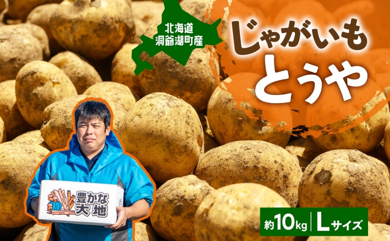 本日収穫 新じゃが とうや サイズ不選別 じゃがいも 茨城県産 25kg 本日収穫 新じゃが とうや サイズ不選別 じゃがいも 茨城県産