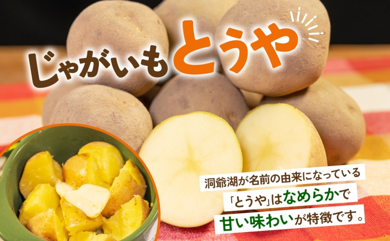 北海道産 青野農園 じゃがいも とうや Lサイズ 約10kg 10月初旬～12月下旬頃お届け 北海道 ジャガイモ トウヤ 馬鈴薯 ポテト 芋 いも イモ 黄色 旬 野菜 農作物 産地直送 お取り寄せ 送料無料 国産 