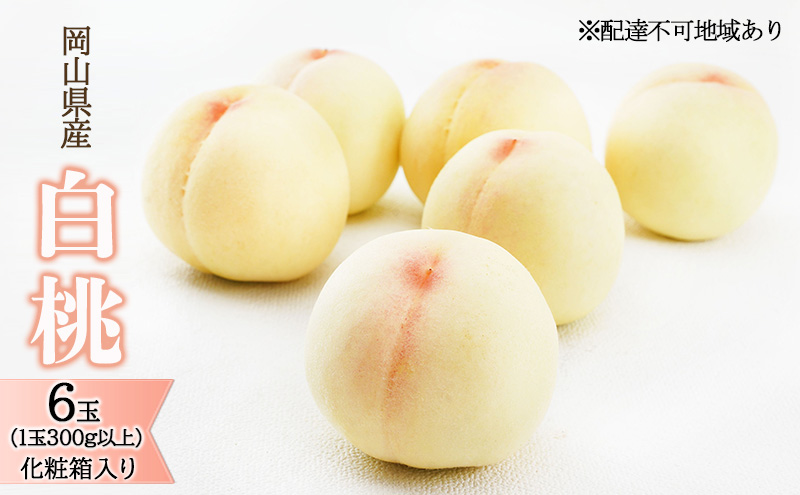 桃 2026年 先行予約 白桃 6玉（1玉300g以上）化粧箱入り もも モモ 岡山県産 国産 フルーツ 果物 ギフト 