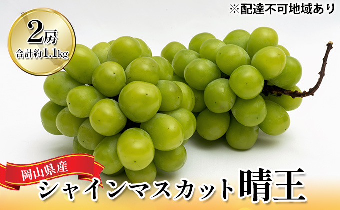 ぶどう 2026年 先行予約 シャイン マスカット 晴王 2房（合計約1.1kg）化粧箱入り マスカット ブドウ 葡萄  岡山県産 国産 フルーツ 果物 ギフト 果物類 大粒 1.1kg 