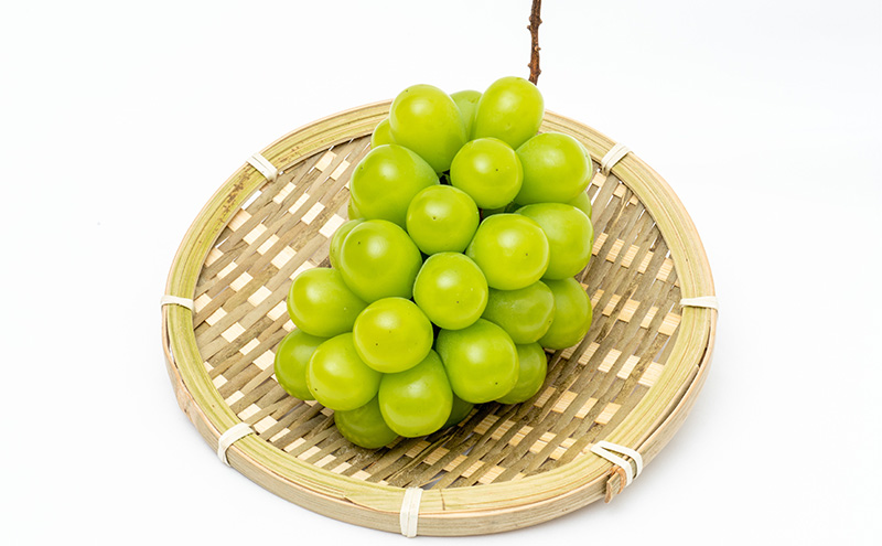 ぶどう 2026年 先行予約 シャイン マスカット 晴王 1房（1房670g以上）化粧箱入り マスカット ブドウ 葡萄  岡山県産 国産 フルーツ 果物 ギフト 果物類 大粒 