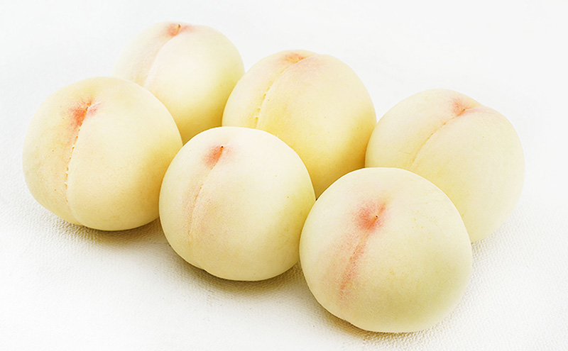 桃 2026年 先行予約 白桃 6玉（1玉250g以上）化粧箱入り もも モモ 岡山県産 国産 フルーツ 果物 ギフト 