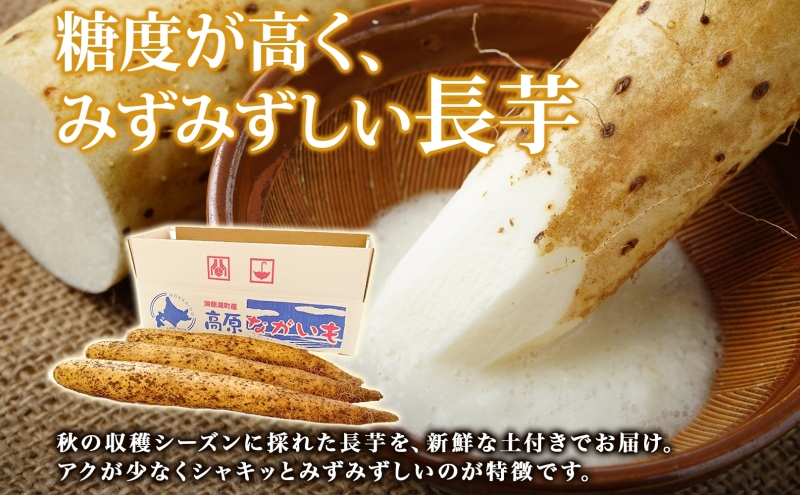 北海道 洞爺湖町産 春掘り 長芋 約5kg 先行受付 4月中旬～下旬にお届け 長いも ながいも 芋 山芋 山うなぎ とろろ ステーキ 千切り 万能 旬 秋 野菜 根菜 常温 塩田農園 洞爺湖町 