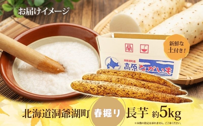 北海道 洞爺湖町産 春掘り 長芋 約5kg 先行受付 4月中旬～下旬にお届け 長いも ながいも 芋 山芋 山うなぎ とろろ ステーキ 千切り 万能 旬 秋 野菜 根菜 常温 塩田農園 洞爺湖町 
