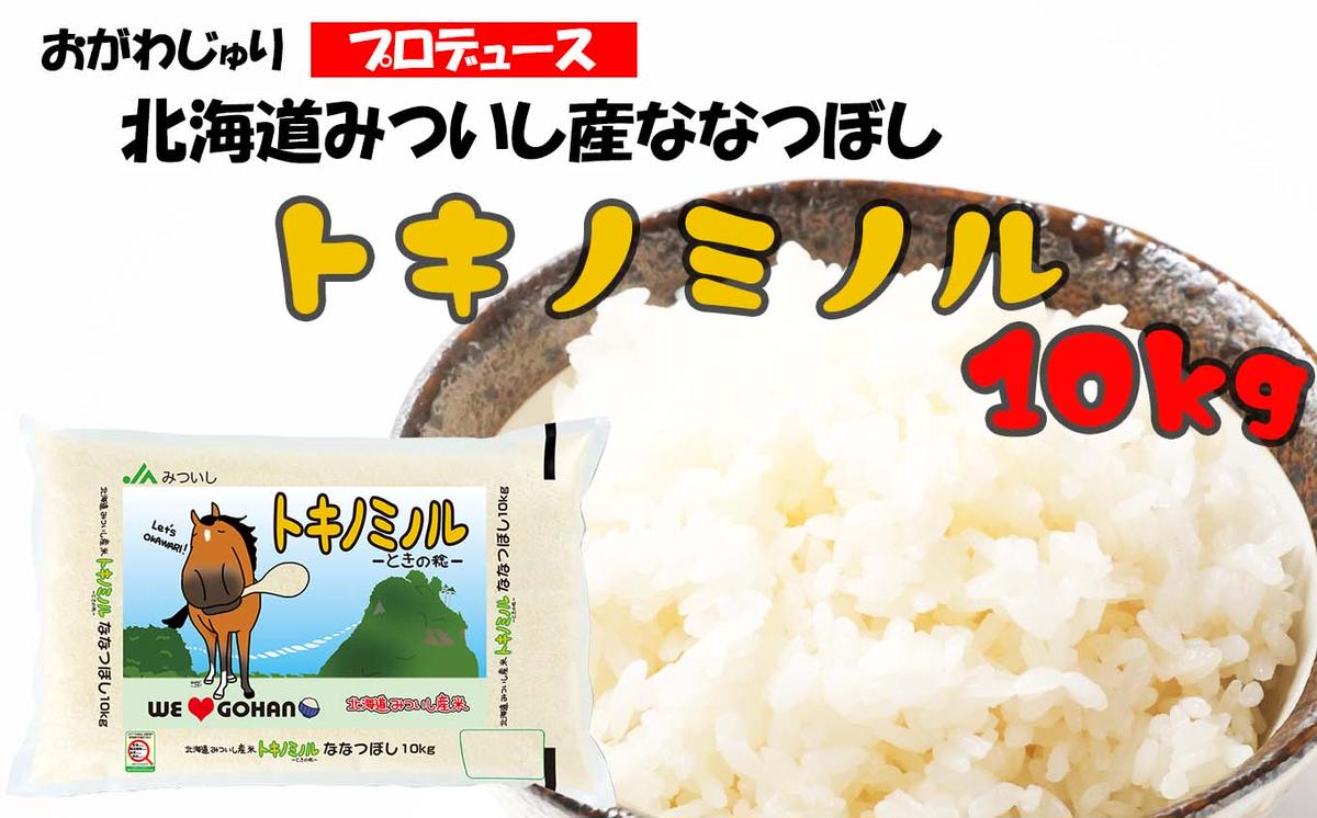 【北海道新ひだか町】北海道産 新米 ななつぼし トキノミノル 白米 10kg