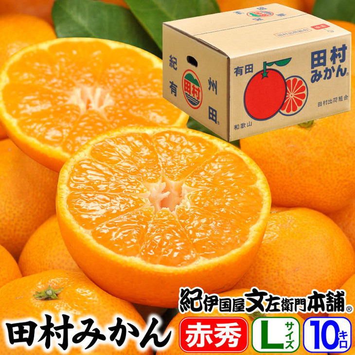 田村みかん/特選ギフト品10kg[Lサイズ]赤秀|湯浅町田村地区産 産地直送 最高級 紀伊国屋文左衛門本舗 ※2025年11月下旬〜2026年1月中旬頃に順次発送予定