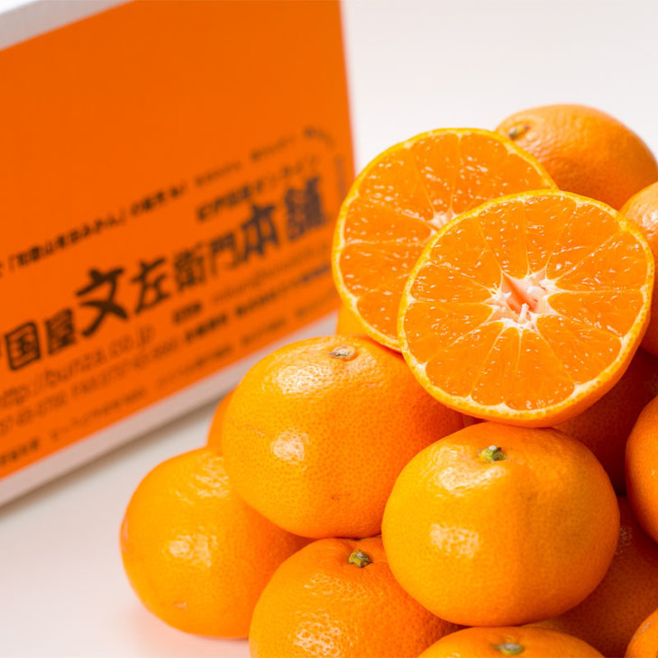 田村みかん/特選ギフト品10kg【Mサイズ】赤秀｜湯浅町田村地区産 産地直送 最高級 紀伊国屋文左衛門本舗
※2025年11月下旬～2026年1月中旬頃に順次発送予定