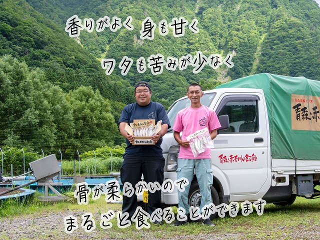 鮎 5尾 2パック セット 詰め合わせ 赤石川の金の鮎 真空冷凍パック 冷凍 あゆ アユ 魚 川魚 魚介 魚介類 海鮮 海鮮セット おかず おつまみ つまみ お酒のつまみ 酒のつまみ 夕飯 青森 青森県 鰺ヶ沢町