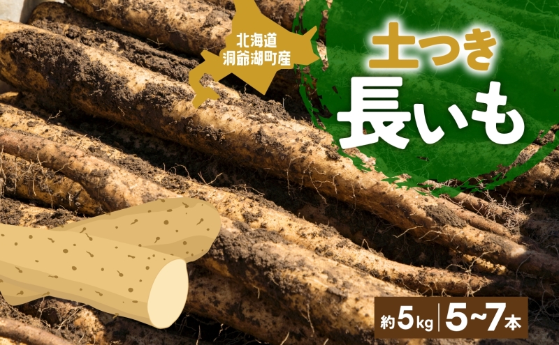 【北海道洞爺湖町】北海道産 青野農園 土つき 長いも 約5kg 5〜7本 11月下旬〜12月下旬ごろお届け ながいも 土付き 北海道 長芋 自然薯 とろろ いも イモ 旬 野菜 農作物 産地直送 お取り寄せ 送料無料 根菜 とろろご飯