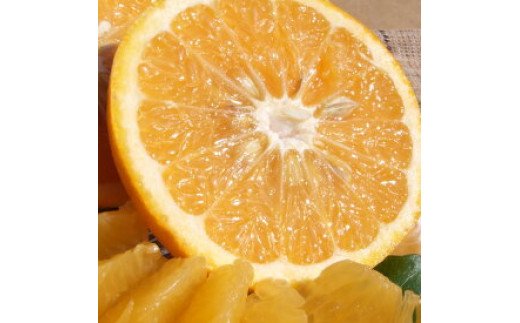 ya̎RLcS󒬁zV7416_É(܂Ȃ)Gi7kg a̎RLcY t݂ tk (ʎTCY܂)/Iɍq{