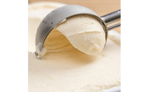 V7219_【2026年6月以降配送】【業務用サイズ】プレミアムジェラート／南高梅うめソルベ2000ml／2リットル 業務用 2L アイス うめ シャーベット／ゆあさジェラートラボラトリー