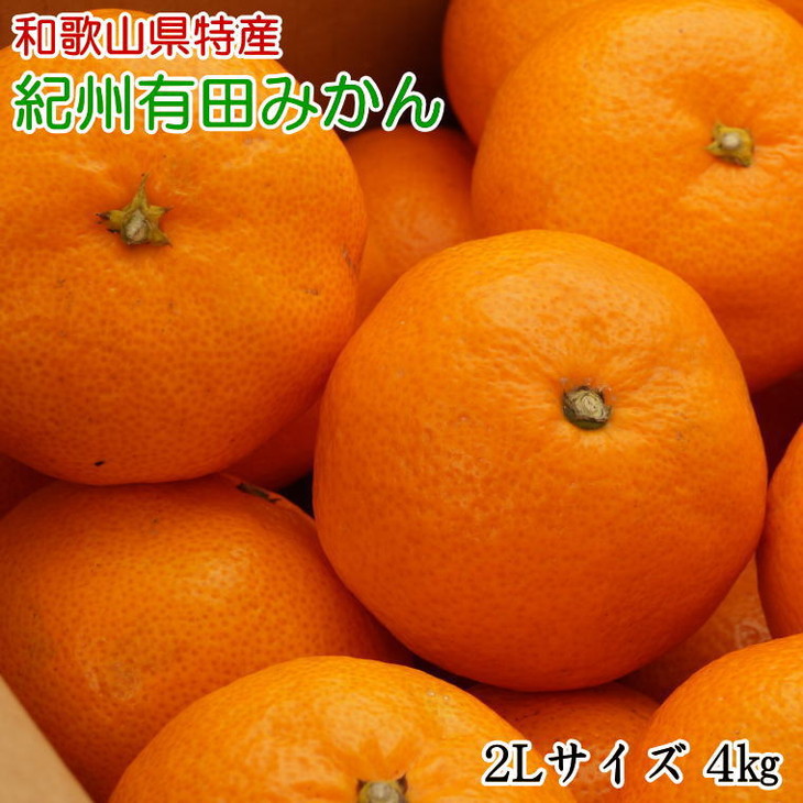 ya̎Rlz[Gi]a̎RLc݂4kg(2LTCY) 2025N11{`2026N1{ɏ\ ӂ邳Ɣ[ ~J