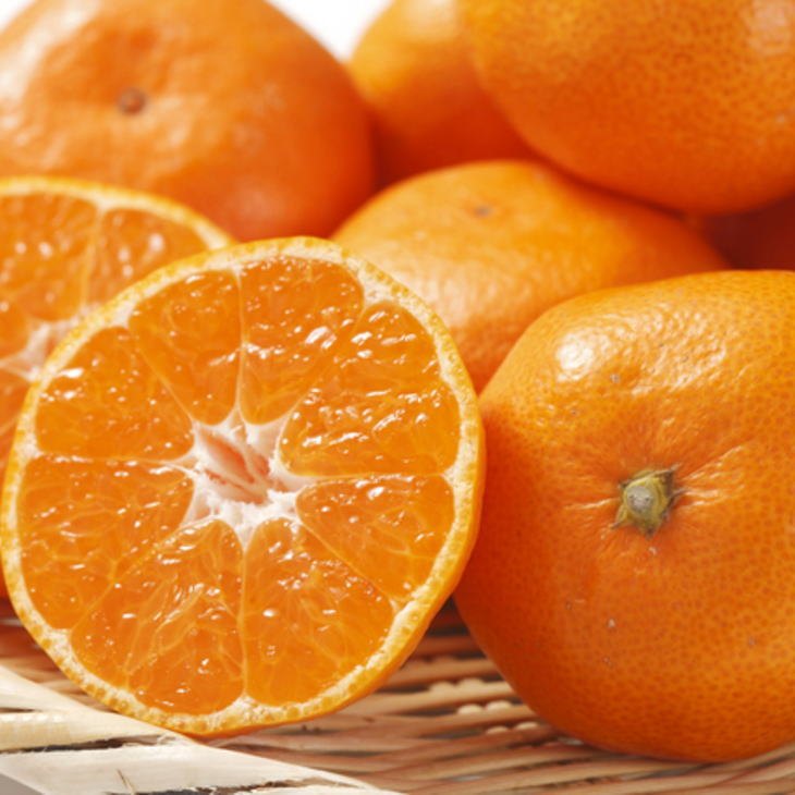 [秀品]和歌山有田みかん4kg(2Lサイズ) ※2025年11月中旬～2026年1月中旬頃に順次発送予定 ふるさと納税 ミカン