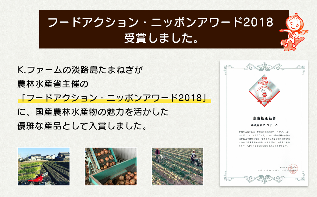 【定期便12ヶ月】淡路島たまねぎ 大きな2Lサイズ 5kg　　[玉ねぎ 産地直送 玉葱]