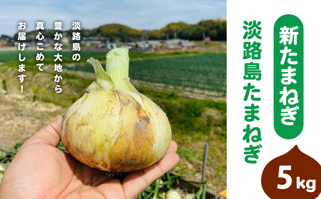 【新たまねぎ】淡路島たまねぎ(5キロ)【発送時期：2026年5月頃】