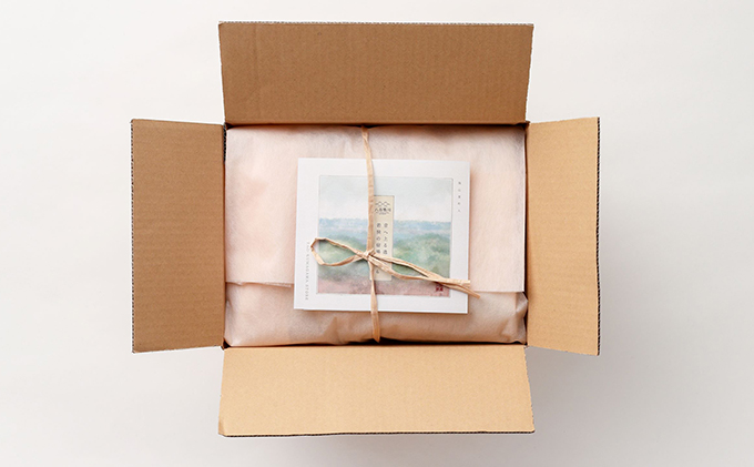 里のもんお届け便 お米 コシヒカリ 梅干し 加工食品 大粒 完熟梅 へしこ 牛しぐれ煮 詰め合わせ セット ギフト 贈り物 