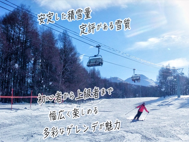 ロックウッド・ホテル＆スパ：期間限定☆ゲレンデ目の前！スキー＆スノボ【選べるリフト・ゴンドラ1日券】＆2食付プラン♪（平日限定：スタンダードツイン お二人様ご招待） 宿泊券 旅行 温泉 スキーチケット 