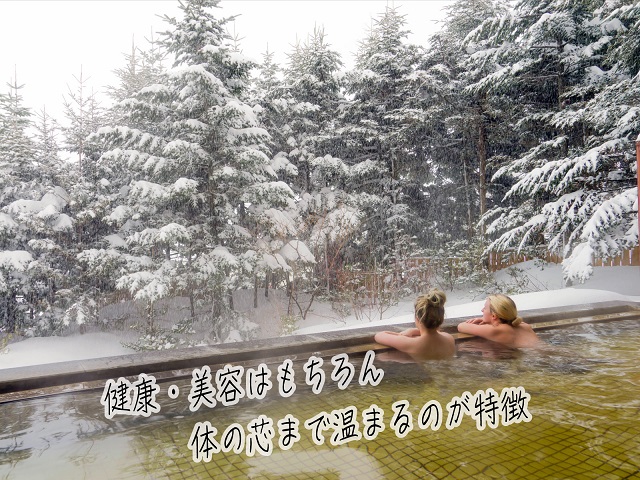 ロックウッド・ホテル＆スパ：期間限定【スノーリゾート】天然温泉に浸かる旅　1泊2食付（平日限定：スタンダードツイン 三名様ご招待） 宿泊券 旅行 