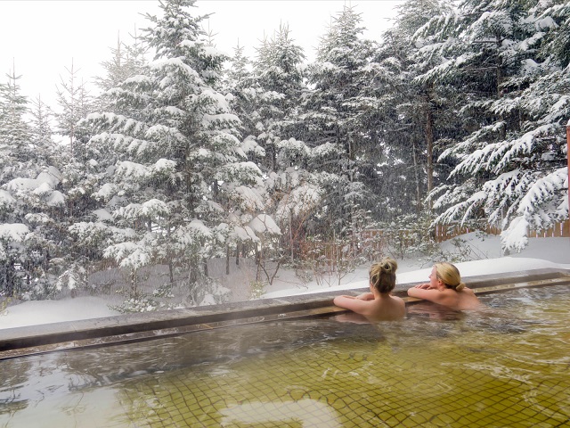 ロックウッド・ホテル＆スパ：期間限定☆ゲレンデ目の前！スキー＆スノボ【選べるリフト・ゴンドラ1日券】＆2食付プラン♪（平日限定：スタンダードツイン お二人様ご招待） 宿泊券 旅行 温泉 スキーチケット 