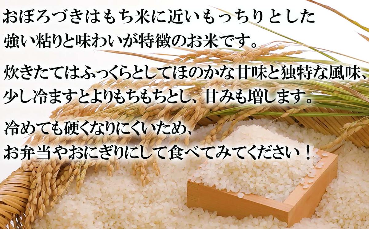 新米 令和7年度産 北海道米 おぼろづき 白米 5kg 北海道 新ひだか町