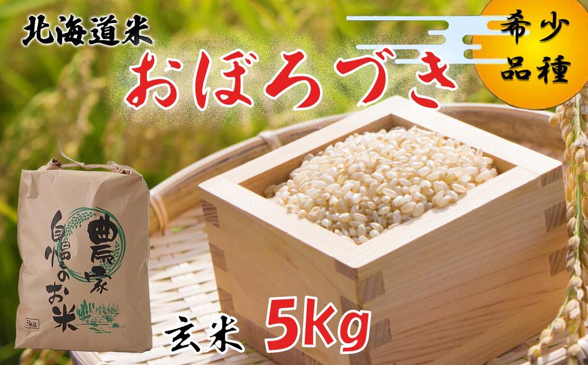 新米 令和7年度産 北海道米 おぼろづき 玄米 5kg 北海道 新ひだか町