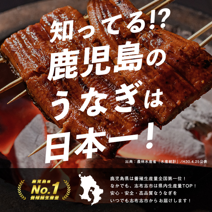 鹿児島県志布志市のふるさと納税 【志布志市制20周年記念】【10営業日以内に発送】鹿児島県産うなぎ蒲焼 名水慈鰻 5尾＜計800g以上＞ b8-043