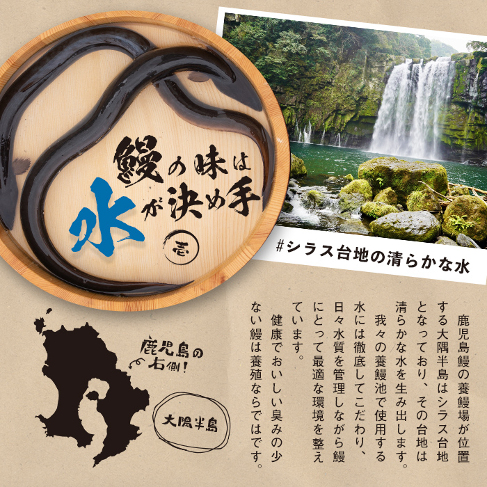 鹿児島県志布志市のふるさと納税 【志布志市制20周年記念】【10営業日以内に発送】鹿児島県産うなぎ蒲焼 名水慈鰻 5尾＜計800g以上＞ b8-043