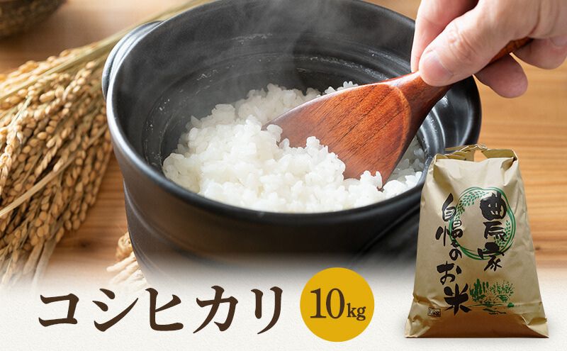 【福井県若狭町】米 令和7年産 コシヒカリ 10kg 白米 精米 こめ コメ 一等米 特A 特a米 新米 こしひかり 山心ファーム 福井 福井県 若狭町