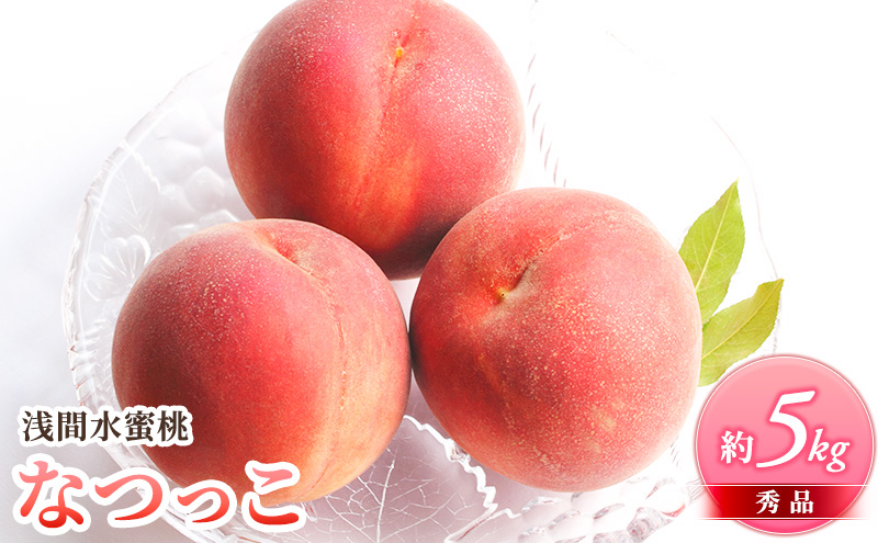 先行予約 2026年発送 浅間水蜜桃 もも なつっこ 秀品 約5kg ふるさと納税  長野県産 小諸市 桃 果物 もも フルーツ モモ 果肉
