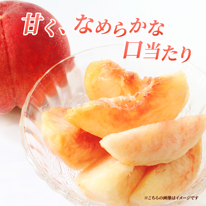 先行予約 2026年発送 浅間水蜜桃 もも なつっこ 秀品 約5kg ふるさと納税  長野県産 小諸市 桃 果物 もも フルーツ モモ 果肉